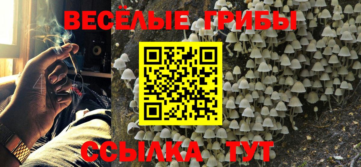Псилоцибиновые грибы GOLDEN TEACHER Славгород
