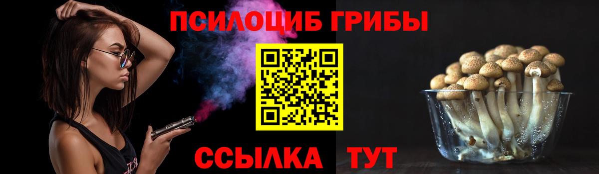 Славгород  Псилоцибиновые грибы Psilocybine cubensis  Вход с VPN  Псилоцибиновые грибы Magic Shrooms 